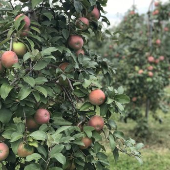 Samascott Orchards - Fruits & Veggies Near Me - Kinderhook, New York