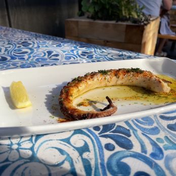 Mediterranean Exploration - Mediterranean Near Me - Portland, Oregon