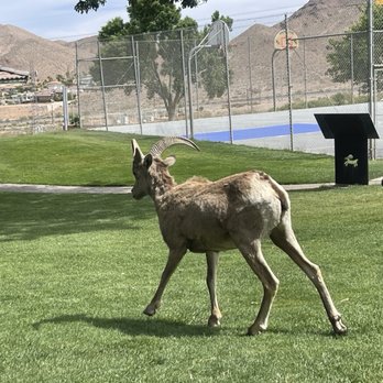 Hemenway Valley Park - Recreation Centers Near Me - Boulder City, Nevada Hemenway Valley Park - Recreation Centers Near Me - Boulder City, Nevada