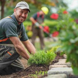 Cleve Landscaping