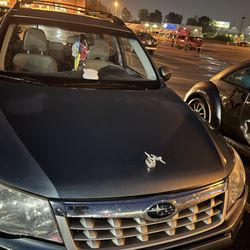 In-Port Auto Service & Repair - The serial number is not correct and is incorrect in form and issue??