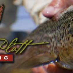 Anderson & Platt Outfitters