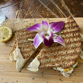 The Modern Rose - Ezekiel bread Sammie - Breakfast & Brunch Near Me - Delray Beach, Florida The Modern Rose - Ezekiel bread Sammie - Breakfast & Brunch Near Me - Delray Beach, Florida