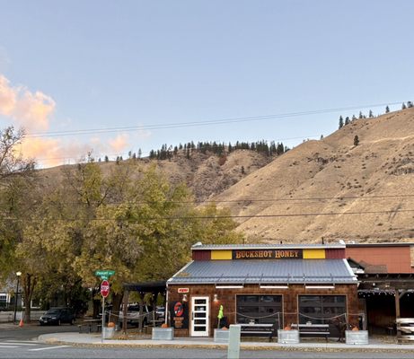 Buckshot Honey by null