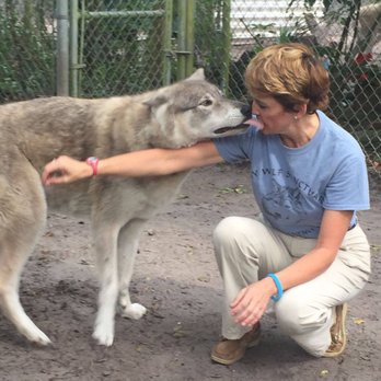 Shy Wolf Sanctuary Education & Experience Center - My new friend - Animal Shelters Near Me Shy Wolf Sanctuary Education & Experience Center - My new friend - Animal Shelters Near Me