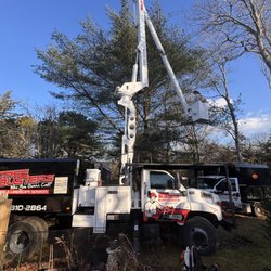 Tree Busters