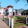 Photo of Texas Cowboy Hall of Fame