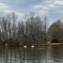 Photo of Assunpink Wildlife Management Area