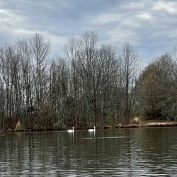 Assunpink Wildlife Management Area