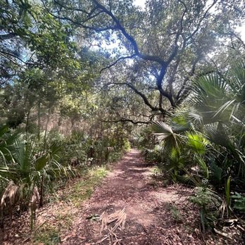 Silver Glen Springs - The trail - Parks Near Me - Salt Springs, Florida Silver Glen Springs - The trail - Parks Near Me - Salt Springs, Florida