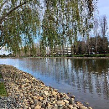 Oracle Parkway - 06.18.17 - Parks Near Me - Redwood City, California Oracle Parkway - 06.18.17 - Parks Near Me - Redwood City, California