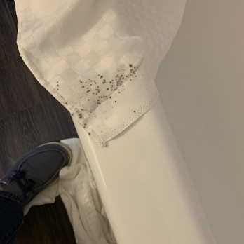 Comfort Suites East - Black mold on shower curtain - Hotels Near Me - Knoxville, Tennessee Comfort Suites East - Black mold on shower curtain - Hotels Near Me - Knoxville, Tennessee