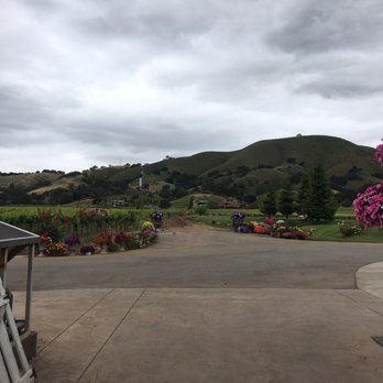 Kirigin Cellars - Wineries Near Me - Gilroy, California