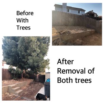 Duran's Tree service - Tree Services Near Me