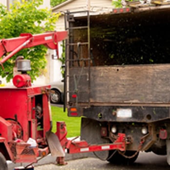 Plank Tree Service - a red garbage truck with a tree in the back - Tree Services Near Me - Reading, Pennsylvania Plank Tree Service - a red garbage truck with a tree in the back - Tree Services Near Me - Reading, Pennsylvania