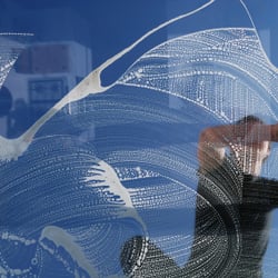 C-Thru Window Cleaning Services - www.cthruwindows.co.uk