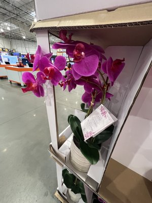 Costco Wholesale by null