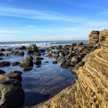 Point Loma Tide Pools - Beaches Near Me - San Diego, California