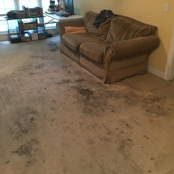 SME Carpet Cleaning - Carpet Cleaning Near Me - Phenix City, Alabama SME Carpet Cleaning - Carpet Cleaning Near Me - Phenix City, Alabama