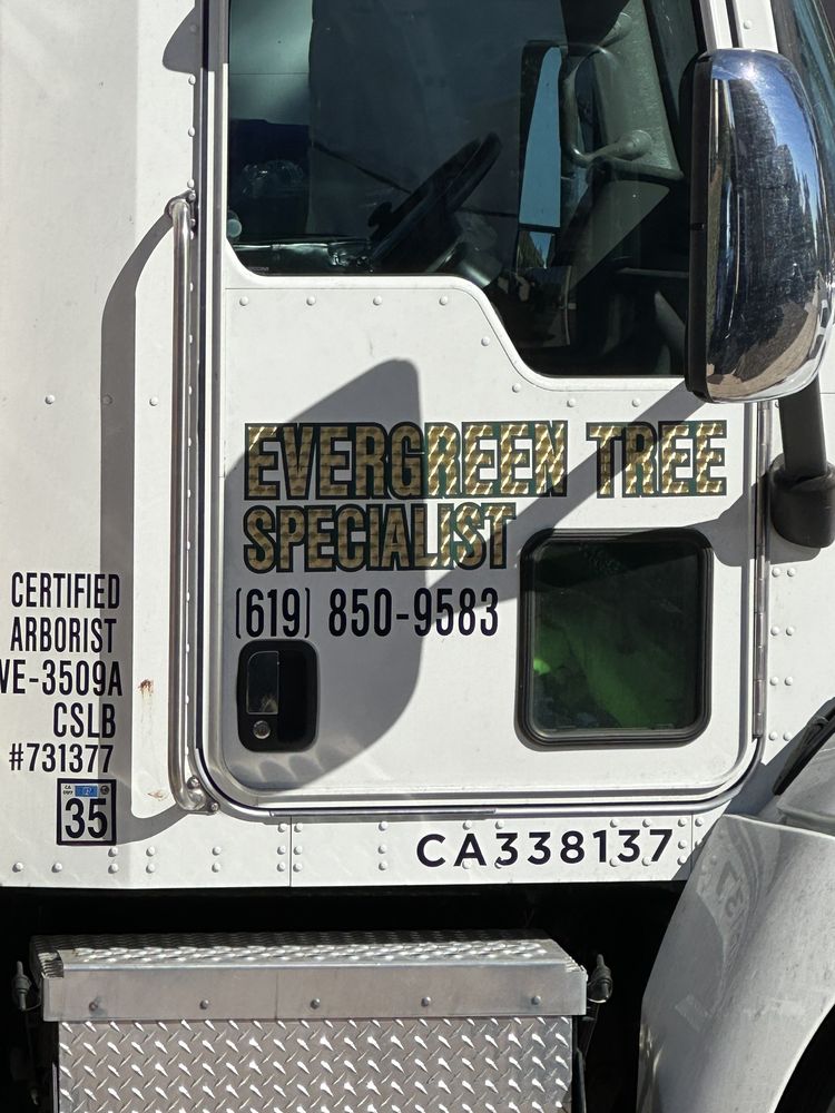 Evergreen Tree Specialist - tree service in San Diego, CA