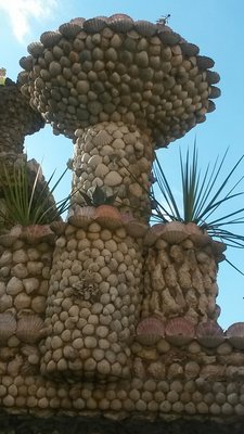 Jardin Rosa Mir by null