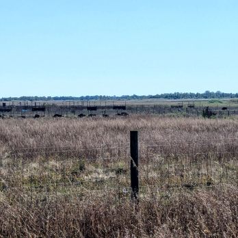 Kankakee Sands Preserve - Hiking Near Me - Morocco, Indiana