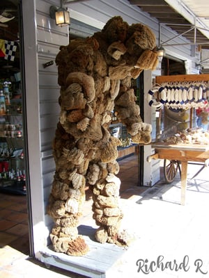 Key West Sponge Market by null