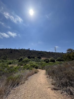 Tecolote Canyon Natural Park and Nature Center by null