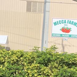 Mecca Family Farms - Mecca farms