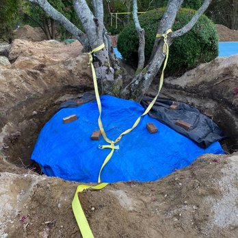 Sterling Tree & Lawn Service - a blue tarp covering a hole in the ground - Tree Services Near Me - Speonk, New York Sterling Tree & Lawn Service - a blue tarp covering a hole in the ground - Tree Services Near Me - Speonk, New York