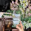 Saigon District Restaurant gift card