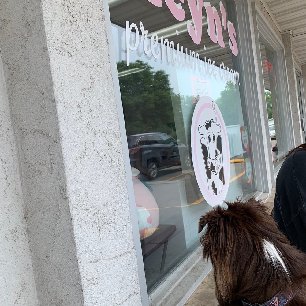 Heyn's Ice Cream - Store front - Ice Cream & Frozen Yogurt Near Me - Iowa City, Iowa