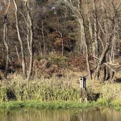 Pickerington Ponds Metro Park - Bird house