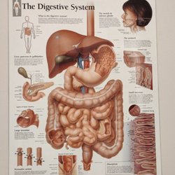 Morisaki Mark A MD - Diagram