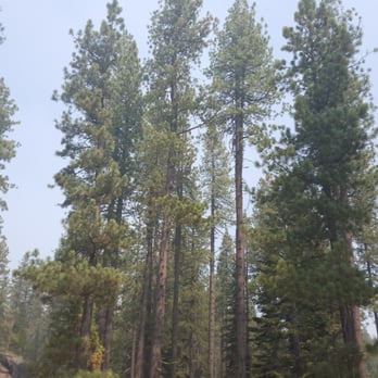 Camp Edison - Campgrounds Near Me - Shaver Lake, California