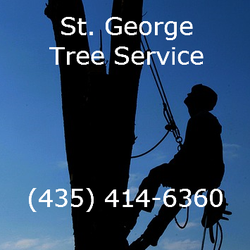 St. George Tree Service - Tree Removal at its BEST!