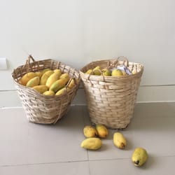 Mara's Organic Market - Baskets of organic mango!