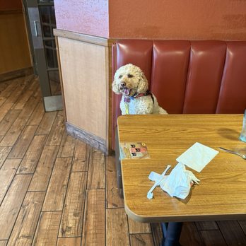 Denny's - American Near Me - Northfield, New Jersey Denny's - American Near Me - Northfield, New Jersey