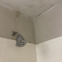Bathroom shower Bathroom shower
