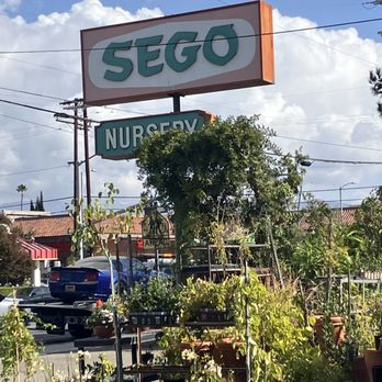 Sego Nursery - outdoor sign - Nurseries & Gardening Near Me - Valley Village, California Sego Nursery - outdoor sign - Nurseries & Gardening Near Me - Valley Village, California