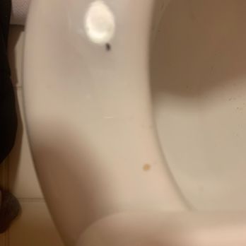 Courtyard by Marriott Phoenix Chandler - Hair dried blood maybe? And number 2 stains in the bowl - Hotels Near Me - Chandler, Arizona Courtyard by Marriott Phoenix Chandler - Hair dried blood maybe? And number 2 stains in the bowl - Hotels Near Me - Chandler, Arizona