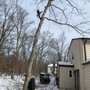 Photo of El Toro Landscaping & Tree Services