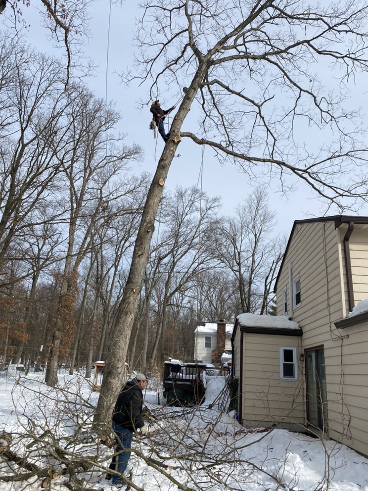 El Toro Landscaping & Tree Services - tree service in Dover, NJ