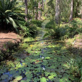 Eureka Springs Park - March 2020 - Parks Near Me - Tampa, Florida Eureka Springs Park - March 2020 - Parks Near Me - Tampa, Florida