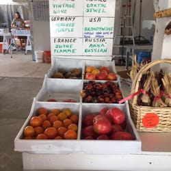 Tomatoes internacionale!