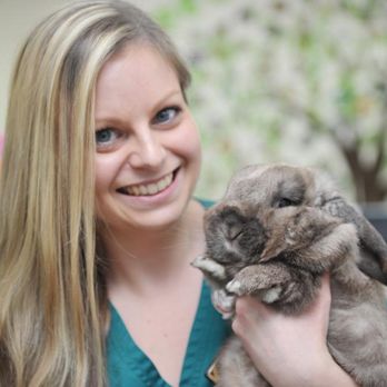 ABBEYCROFT VETERINARY CENTRE - Veterinarians Near Me - Northwich, CHW