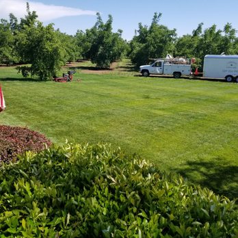 Cernas Lawn Care - Irrigation Near Me Cernas Lawn Care - Irrigation Near Me