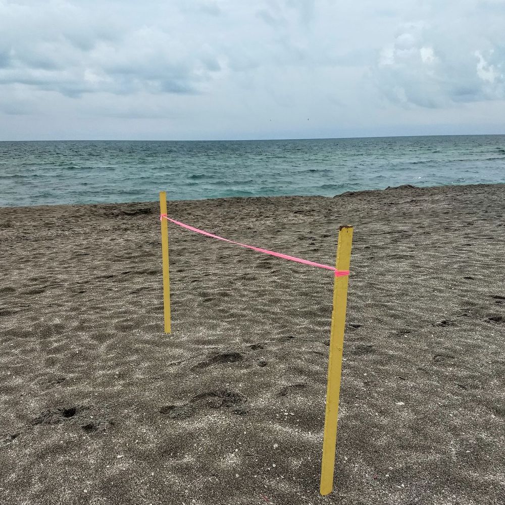 Turtle Beach - Beaches Near Me