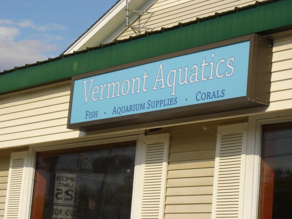VERMONT AQUATICS Updated September 2024 34 Park St, Essex Junction