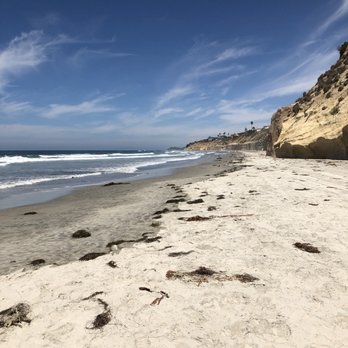 Fletcher Cove Park - Tons of seaweed - Parks Near Me - Solana Beach, California Fletcher Cove Park - Tons of seaweed - Parks Near Me - Solana Beach, California